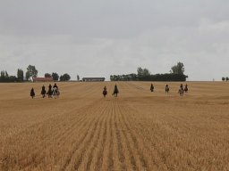 IMG_7103-027